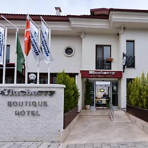 Отель Blueberry Boutique